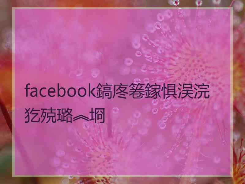 facebook鎬庝箞鎵惧洖浣犵殑璐︽埛 facebook鎬庝箞鎵惧洖浣犵殑璐︽埛