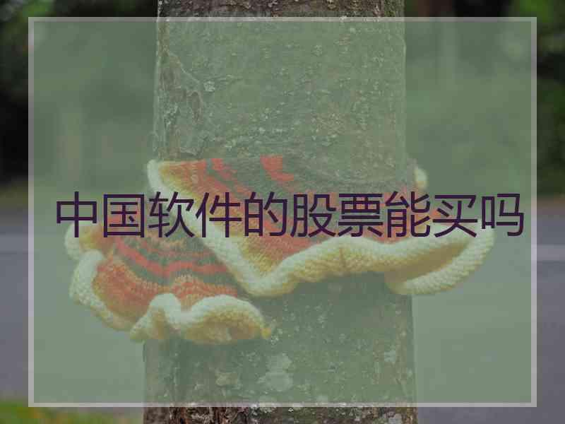 中国软件的股票能买吗 中国软件的股票能买吗