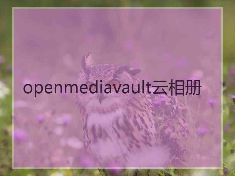 openmediavault云相册