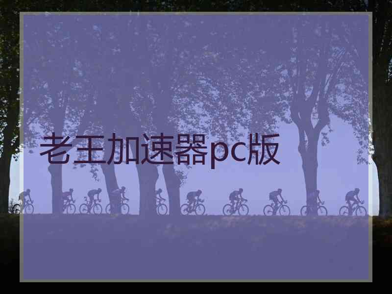 老王加速器pc版 老王加速器pc版