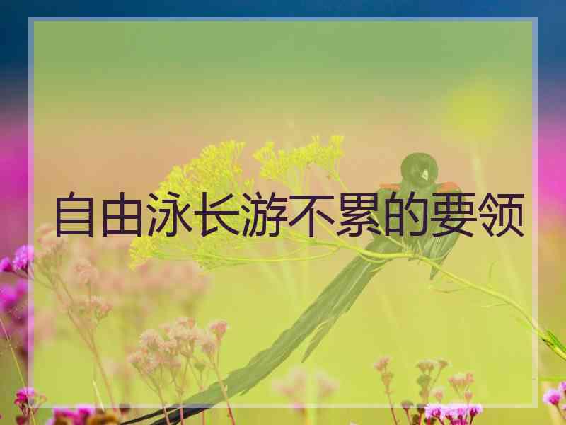 自由泳长游不累的要领 自由泳长游不累的要领
