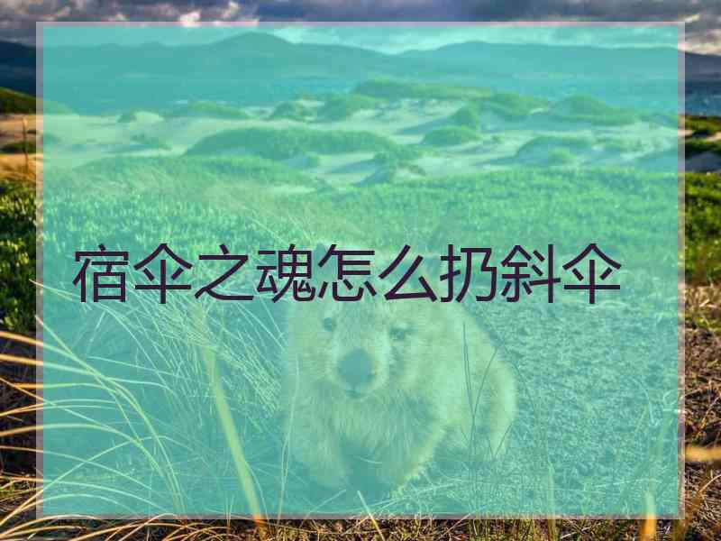 宿伞之魂怎么扔斜伞 宿伞之魂怎么扔斜伞