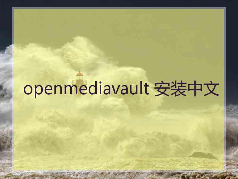 openmediavault 安装中文