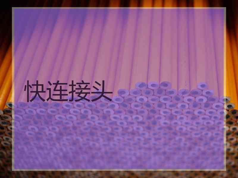 快连接头 快连接头