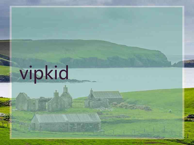 vipkid vipkid