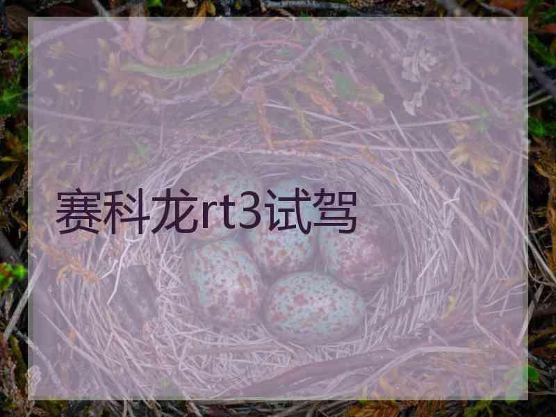 赛科龙rt3试驾 赛科龙rt3试驾