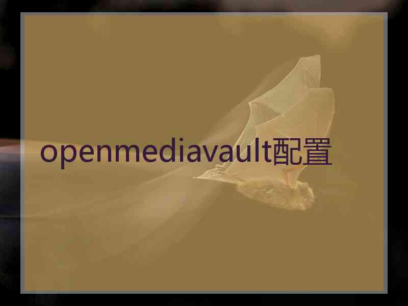 openmediavault配置