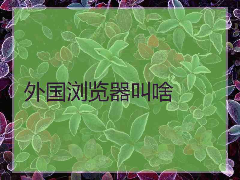 外国浏览器叫啥 外国浏览器叫啥