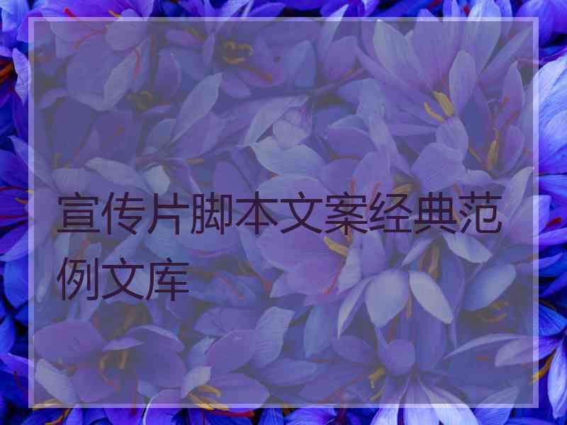 宣传片脚本文案经典范例文库 宣传片脚本文案经典范例文库