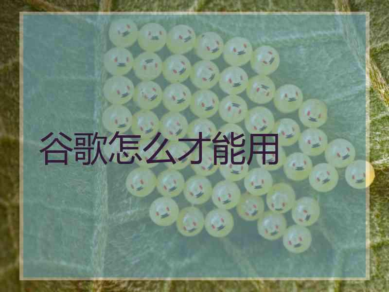 谷歌怎么才能用 谷歌怎么才能用