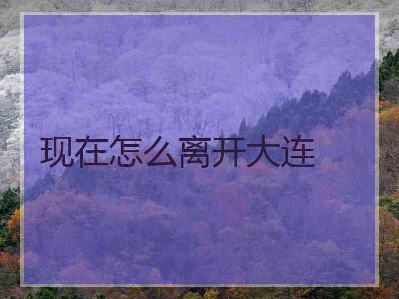 现在怎么离开大连 现在怎么离开大连
