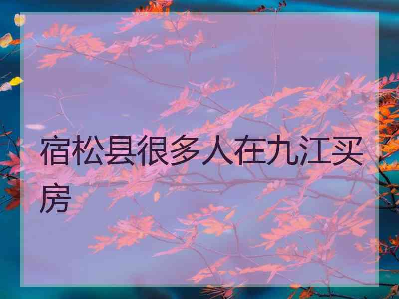宿松县很多人在九江买房 宿松县很多人在九江买房