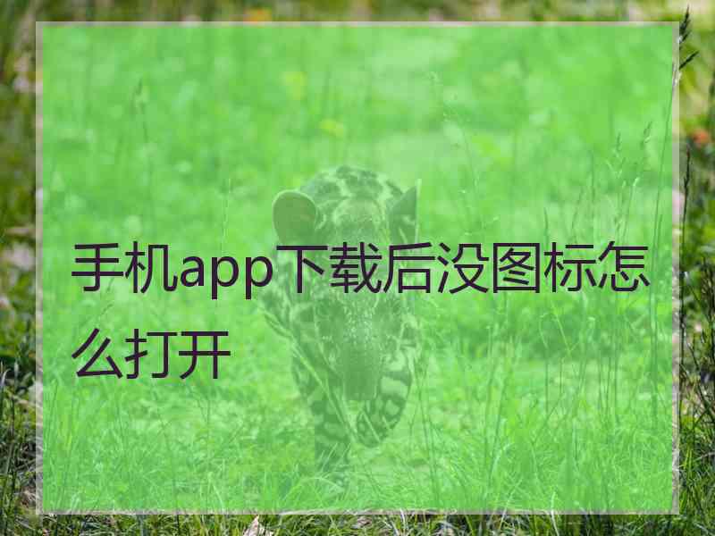 手机app下载后没图标怎么打开 手机app下载后没图标怎么打开