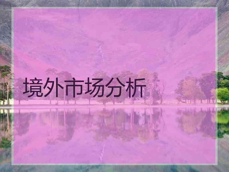 境外市场分析 境外市场分析
