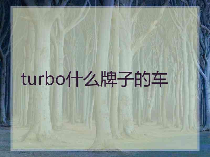 turbo什么牌子的车 turbo什么牌子的车