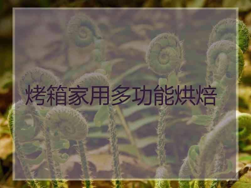 烤箱家用多功能烘焙 烤箱家用多功能烘焙
