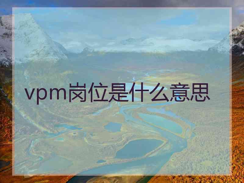 vpm岗位是什么意思 vpm岗位是什么意思