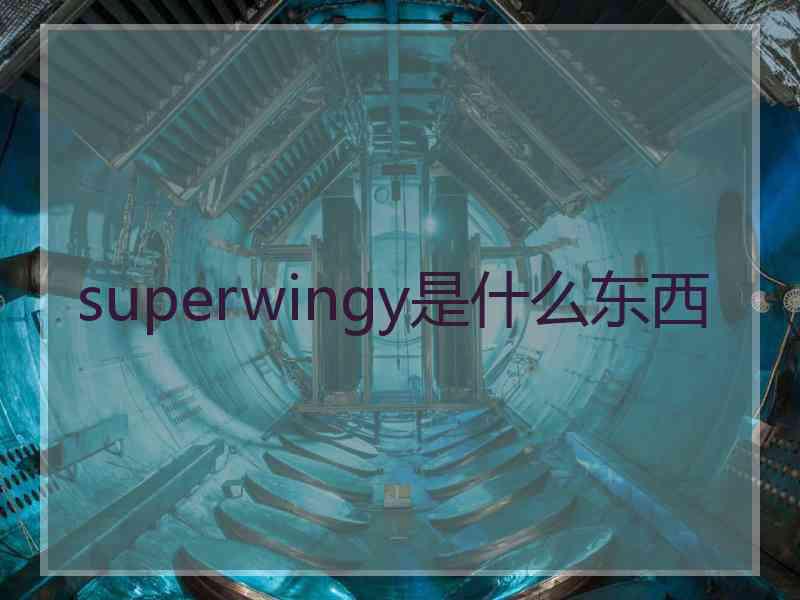 superwingy是什么东西