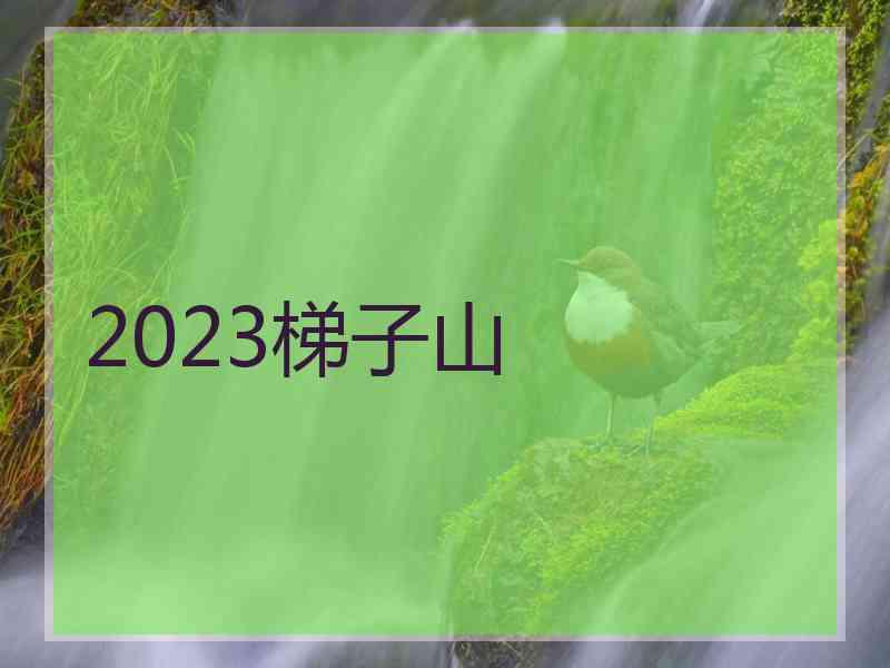 2023梯子山 2023梯子山