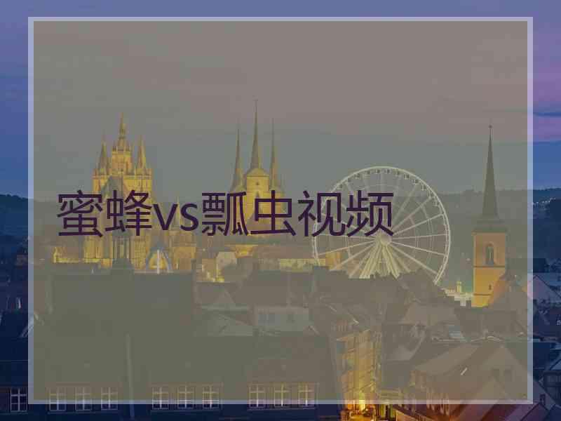 蜜蜂vs瓢虫视频 蜜蜂vs瓢虫视频