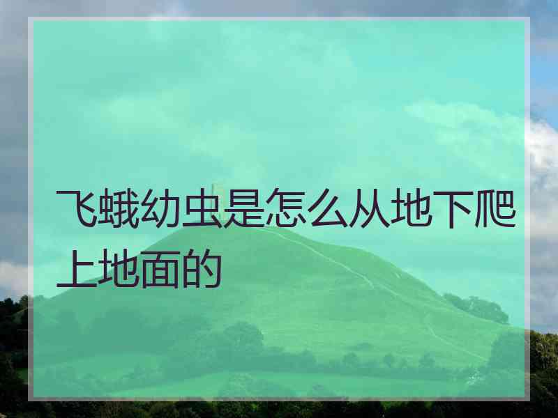 飞蛾幼虫是怎么从地下爬上地面的 飞蛾幼虫是怎么从地下爬上地面的