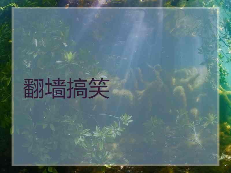 翻墙搞笑 翻墙搞笑