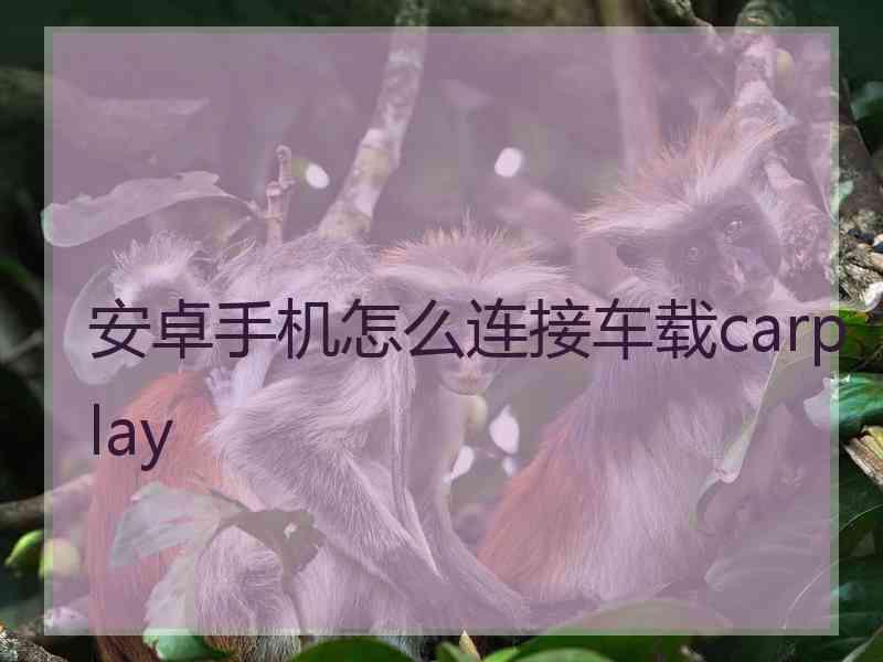 安卓手机怎么连接车载carplay 安卓手机怎么连接车载carplay