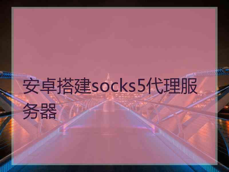 安卓搭建socks5代理服务器