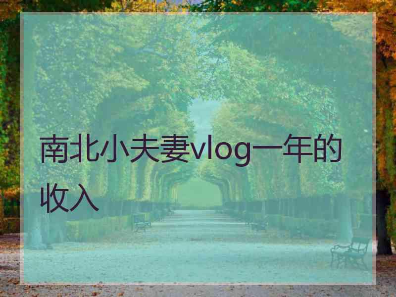 南北小夫妻vlog一年的收入 南北小夫妻vlog一年的收入