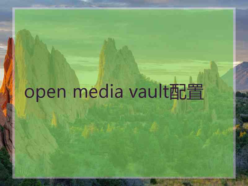 open media vault配置
