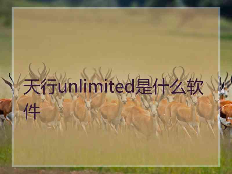 天行unlimited是什么软件 天行unlimited是什么软件