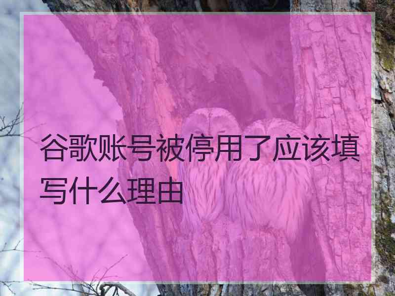谷歌账号被停用了应该填写什么理由 谷歌账号被停用了应该填写什么理由