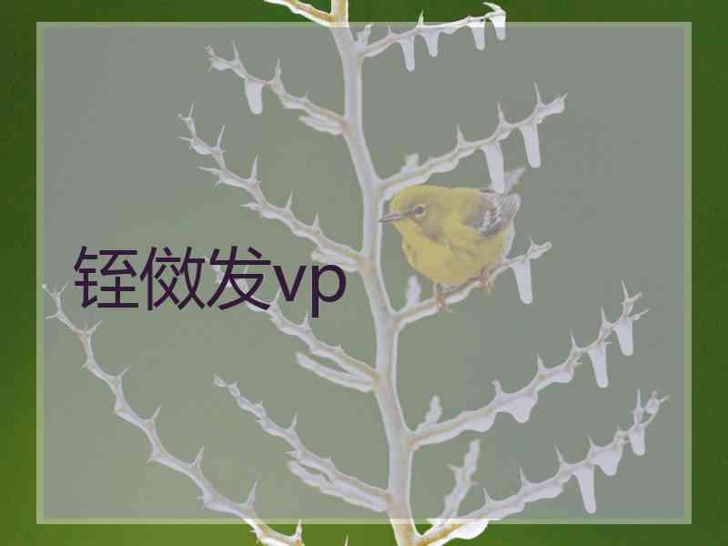 铚傚发vp 铚傚发vp