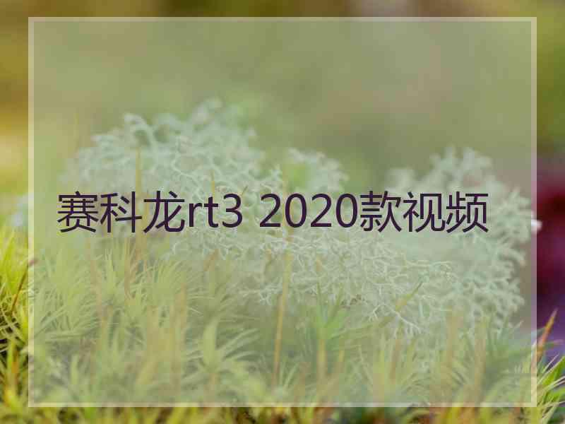 赛科龙rt3 2020款视频 赛科龙rt3 2020款视频