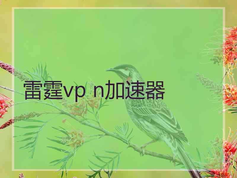 雷霆vp n加速器 雷霆vp n加速器