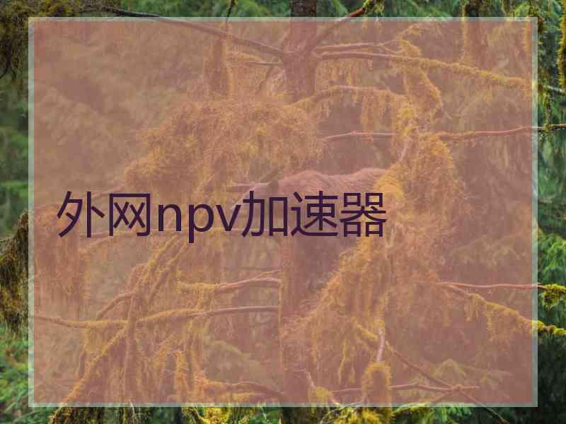外网npv加速器 外网npv加速器