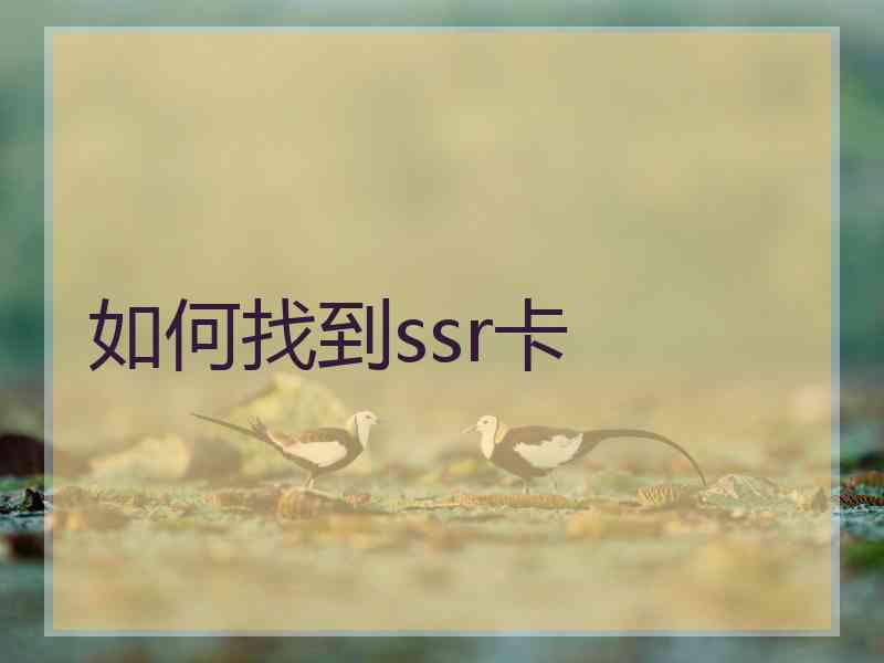 如何找到ssr卡 如何找到ssr卡