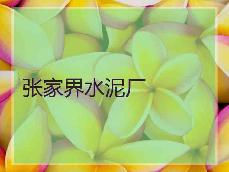 张家界水泥厂 张家界水泥厂