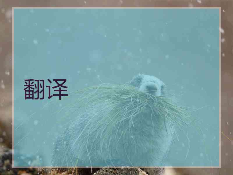 翻译 翻译