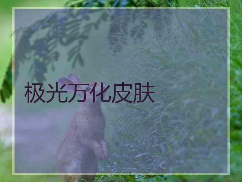 极光万化皮肤 极光万化皮肤