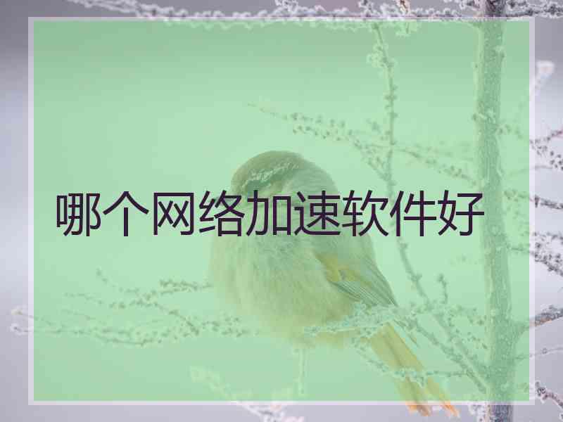 哪个网络加速软件好 哪个网络加速软件好