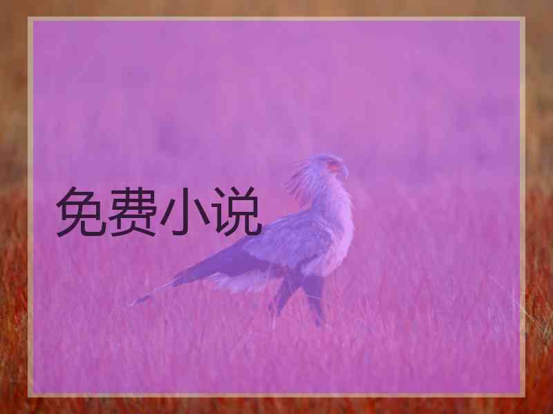 免费小说 免费小说