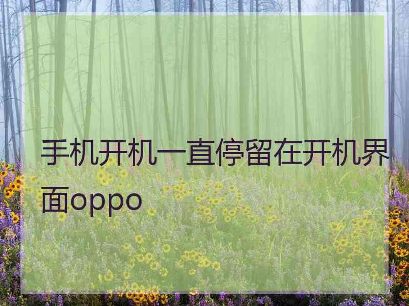 手机开机一直停留在开机界面oppo 手机开机一直停留在开机界面oppo