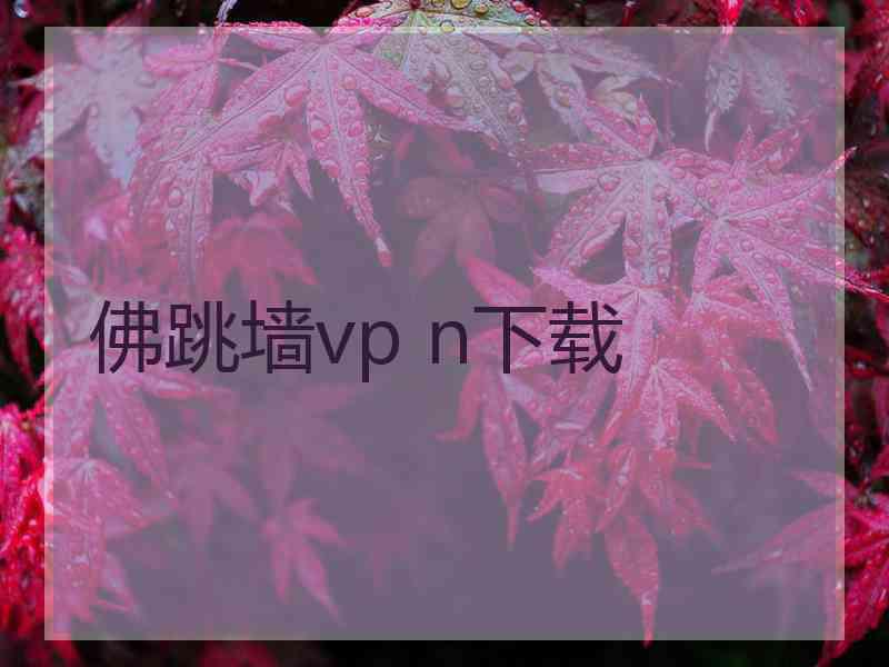 佛跳墙vp n下载 佛跳墙vp n下载