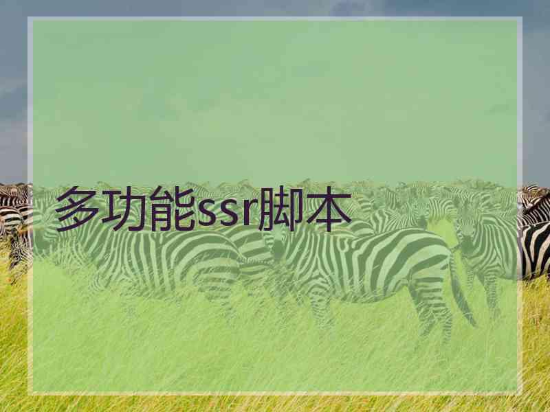 多功能ssr脚本 多功能ssr脚本