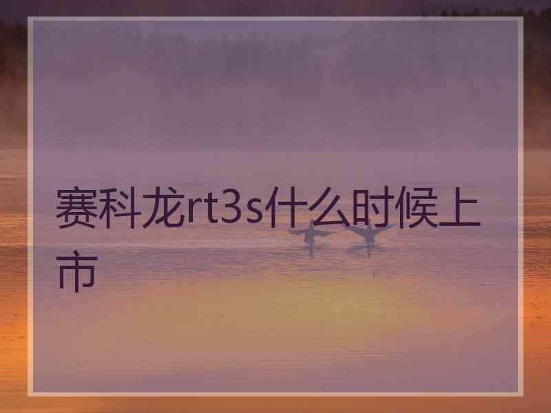 赛科龙rt3s什么时候上市 赛科龙rt3s什么时候上市