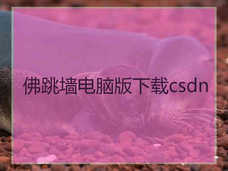 佛跳墙电脑版下载csdn 佛跳墙电脑版下载csdn