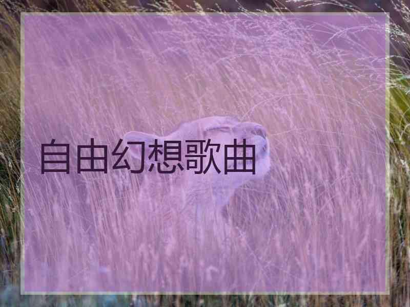 自由幻想歌曲 自由幻想歌曲