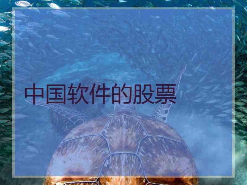 中国软件的股票 中国软件的股票