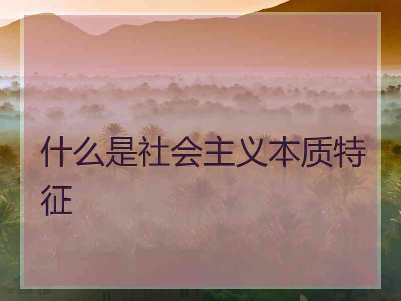 什么是社会主义本质特征 什么是社会主义本质特征
